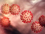Coronavirus may survive on glass, banknotes for 28 days: Study