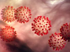 Coronavirus may survive on glass, banknotes for 28 days: Study