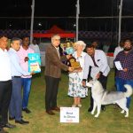 Poona Kennel Confederation announces winners of Grand Championship Dog Show in Pune