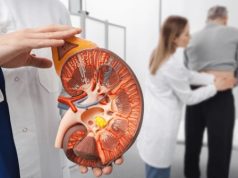 The 9-to-5 Kidney Problem: How Work Stress and Lifestyle Damage Can Lead to Transplant Manipal Hospital